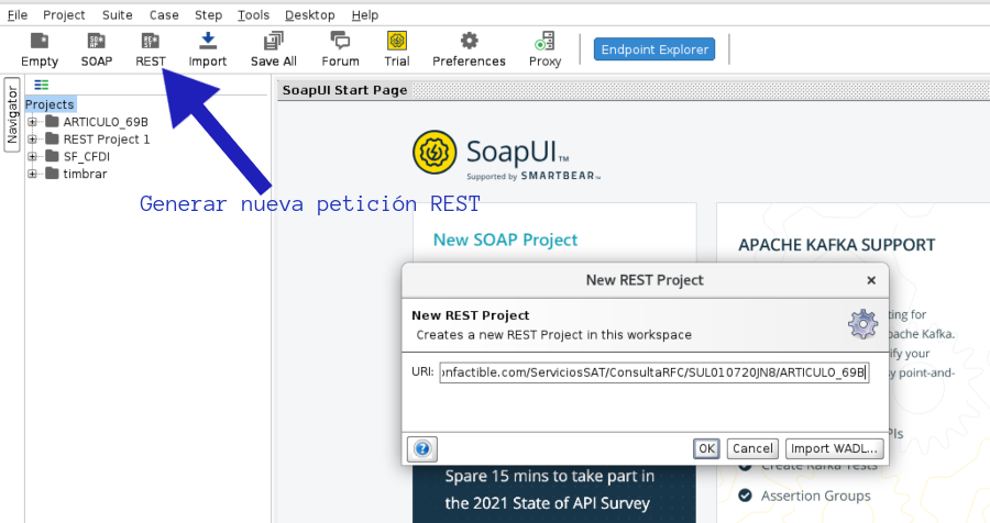 rest SoapUI